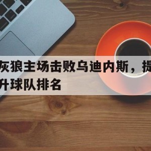 顶级娱乐-关于灰狼主场击败乌迪内斯，提升球队排名的信息
