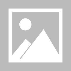 娱乐APP-关于江苏苏宁队员发挥出色，助力球队保持稳定的信息