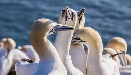 顶级娱乐|水上运动赛事v5.7.6