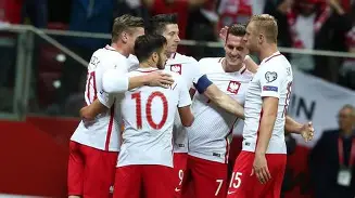 波兰队力克对手，成功跻身卡塔尔世界杯的简单介绍