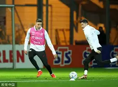 波兰队力克对手，成功跻身卡塔尔世界杯的简单介绍